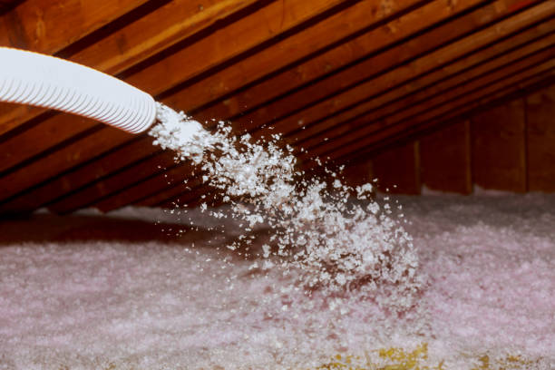 Best DIY Insulation Kits and Guidance in Lynnwood, WA
