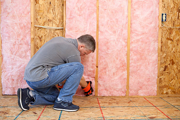 Types of Insulation We Offer in Lynnwood, WA