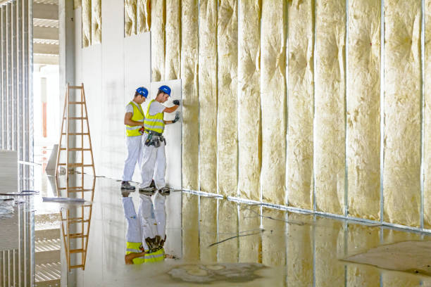 Best Specialized Insulation Services in Lynnwood, WA